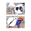 Pet Retractable Leash with Flashlight
